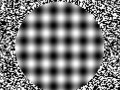 020-OpTiK.jpg